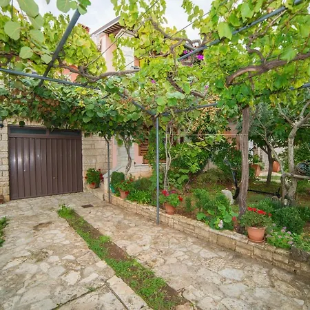 Andrea Apartamento *