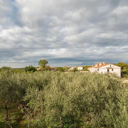 Apartamento Andrea Vodnjan