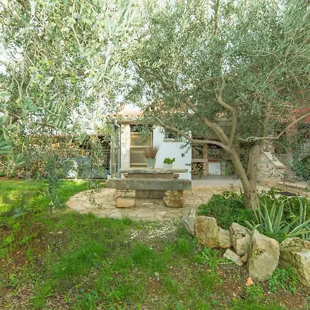 Andrea 329 Appartement